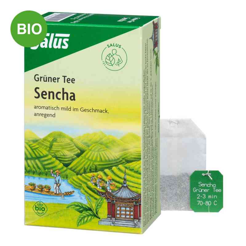 Grüner Tee bio Salus Filterbeutel 15 stk von SALUS Pharma GmbH PZN 00249372