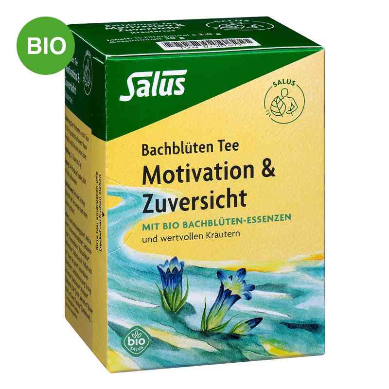 Salus Bachblüten Tee Motivation & Zuversicht 15 stk von SALUS Pharma GmbH PZN 07381577