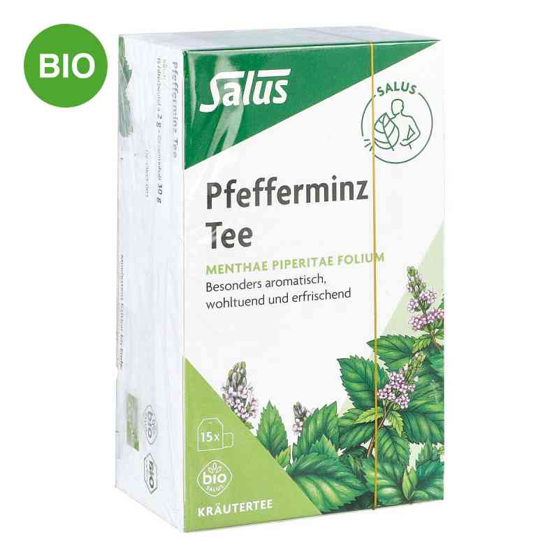 Pfefferminz Tee Menthae piperitae folium bio Salus 15 stk von SALUS Pharma GmbH PZN 09002319