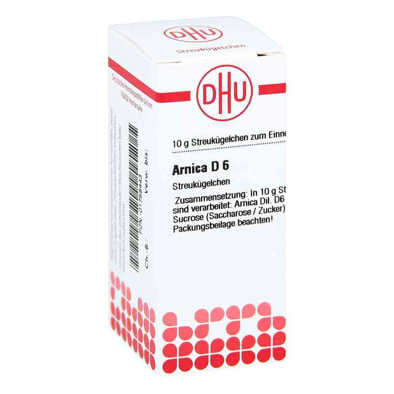 zimmerefeu draußen Zimmerefeu kaufen | Hedera Helix Wonder main image 0