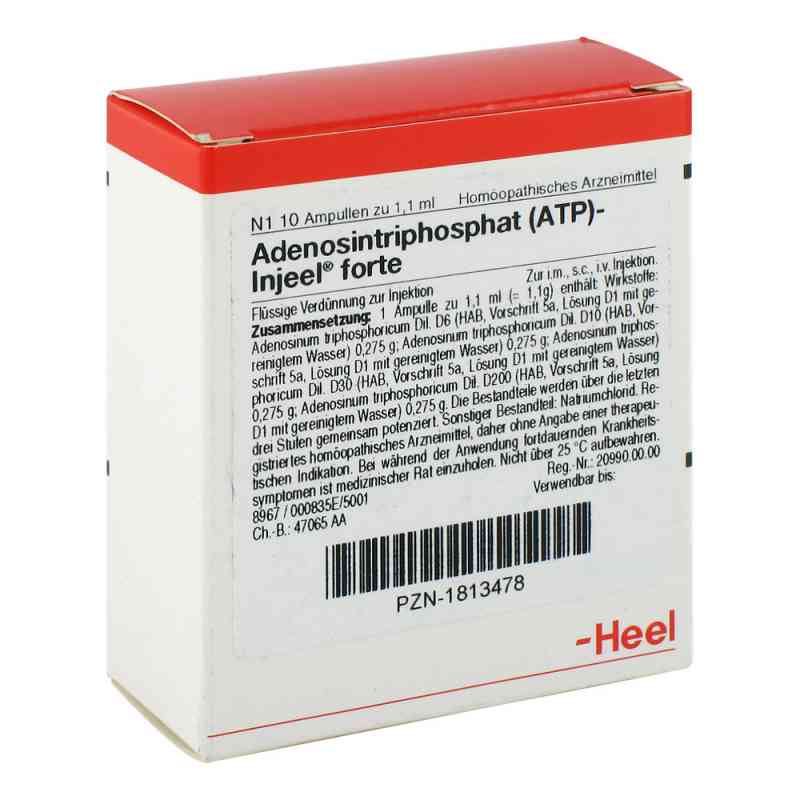 Atp Injeel forte Ampullen 10 stk von Biologische Heilmittel Heel GmbH PZN 01813478