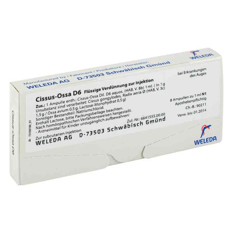 Cissus-ossa D6 Ampullen 8X1 ml von WELEDA AG PZN 01630795