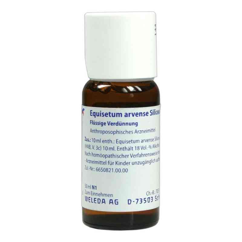 Equisetum Arvense Silicea cultum D2 Dilution 50 ml von WELEDA AG PZN 01629496