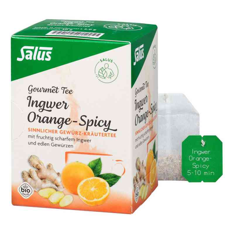 Ingwer Orange Spicy Tee Salus 15 stk von SALUS Pharma GmbH PZN 09003980