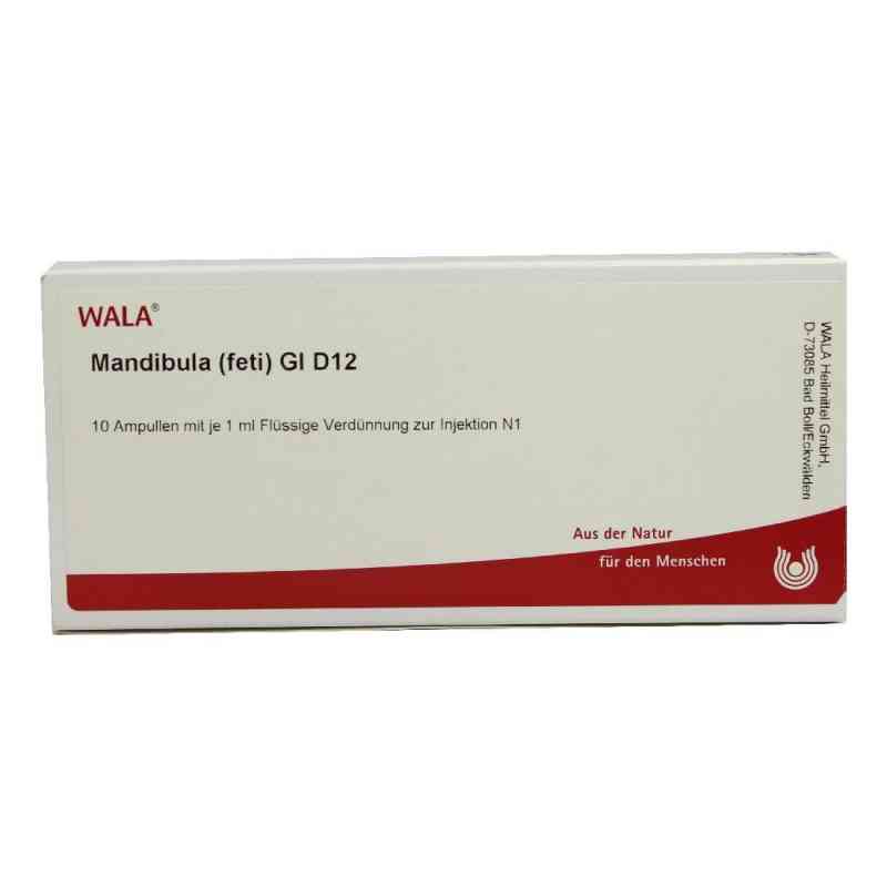 Mandibula Feti Gl D12 Ampullen 10X1 ml von WALA Heilmittel GmbH PZN 02934267