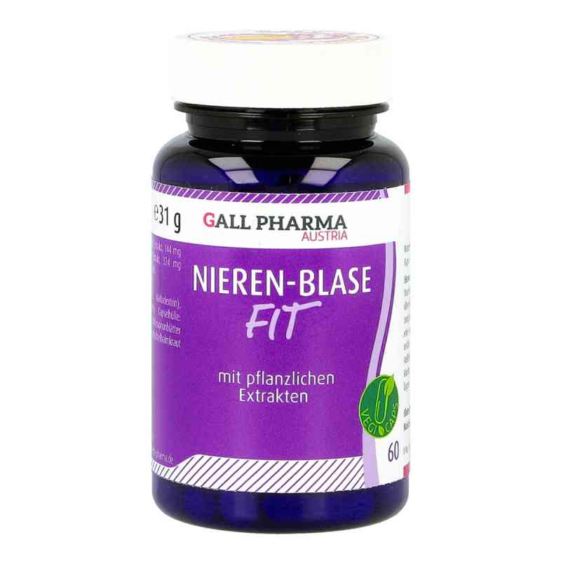 Nieren Blasen Fit Gph Kapseln 60 stk von Hecht-Pharma GmbH PZN 06556750