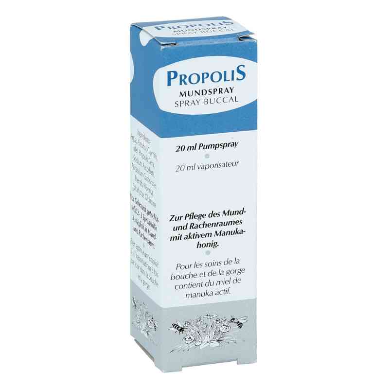 Propolis Pumpspray 20 ml von Health Care Products Vertriebs GmbH PZN 00632846