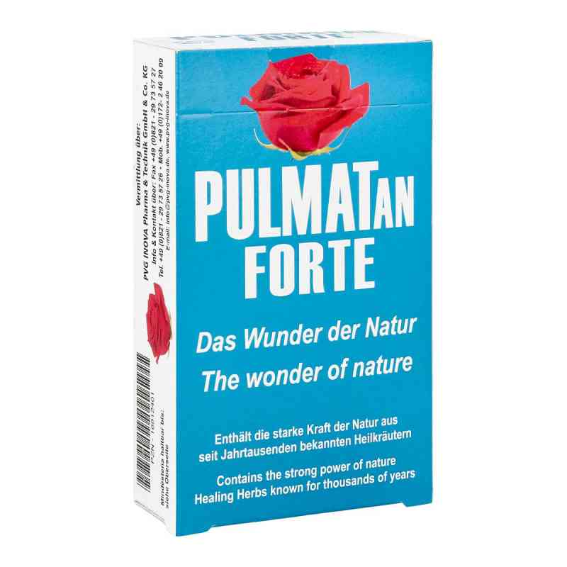Pulmatan Forte gefüllte Kräuterbonbons 100 g von PVG INOVA GmbH PZN 16912401