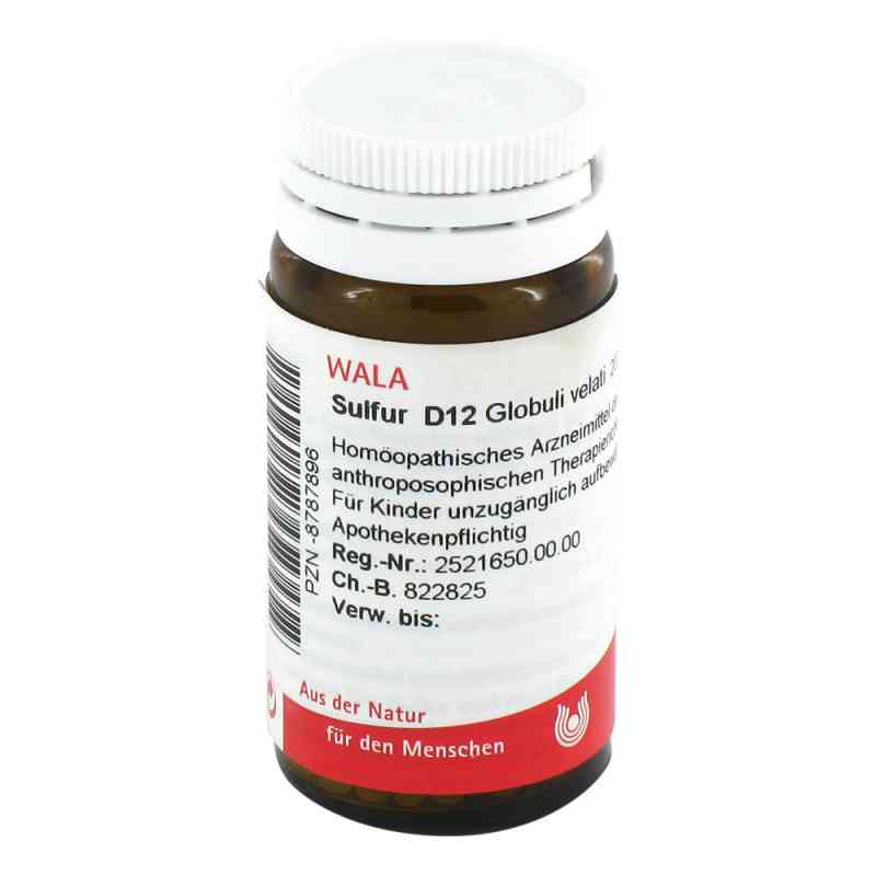 Sulfur D12 Globuli 20 g von WALA Heilmittel GmbH PZN 08787896