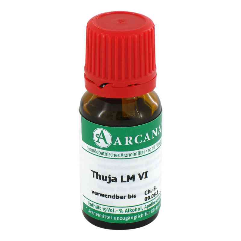 Thuja Arcana Lm 6 Dilution 10 ml von ARCANA Dr. Sewerin GmbH & Co.KG PZN 02604162