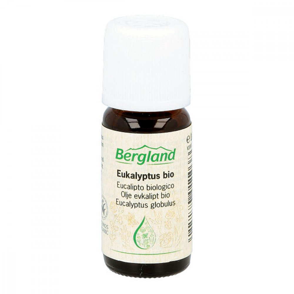 Eukalyptus öl Bio 10 ml