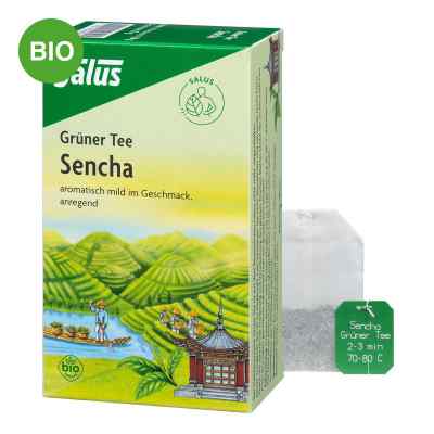 Grüner Tee bio Salus Filterbeutel