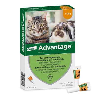 Advantage Spot-On für Katzen und Zierkaninchen bis 4 kg 