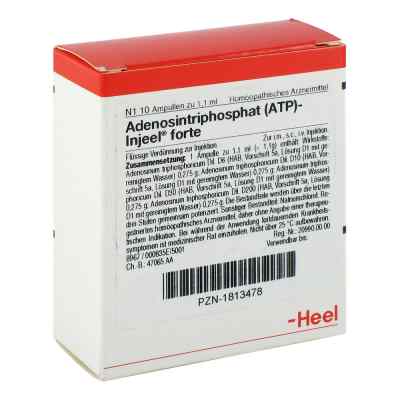 Atp Injeel forte Ampullen 10 stk von Biologische Heilmittel Heel GmbH PZN 01813478