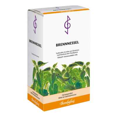 BRENNNESSEL BOMBASTUS