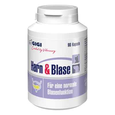 GIGI VET Harn & Blase N90