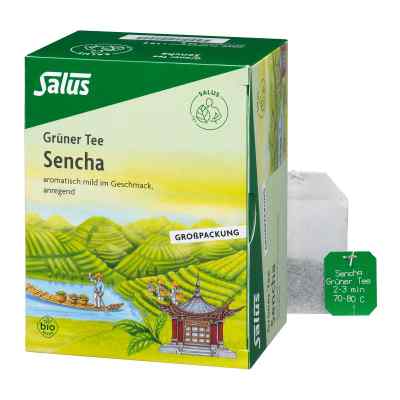 Grüner Tee bio Salus Filterbeutel Grosspackung 40 stk von SALUS Pharma GmbH PZN 00249840