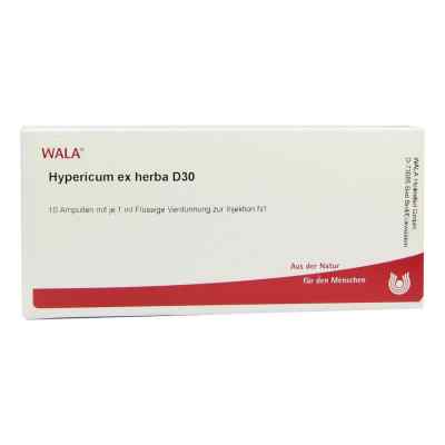 Hypericum Ex Herba D30 Ampullen 10X1 ml von WALA Heilmittel GmbH PZN 02879404