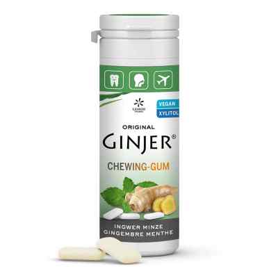 Ingwer Ginjer Kaugummi Minze 30 g von Hager Pharma GmbH PZN 13974666
