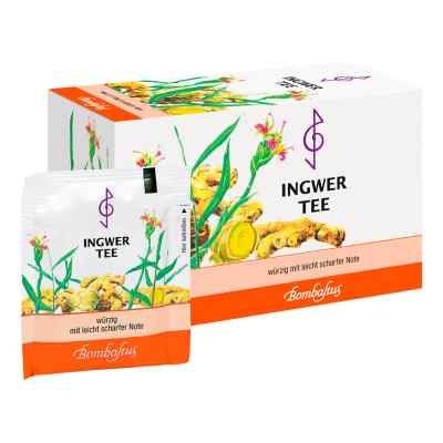 Ingwer Tee Filterbeutel