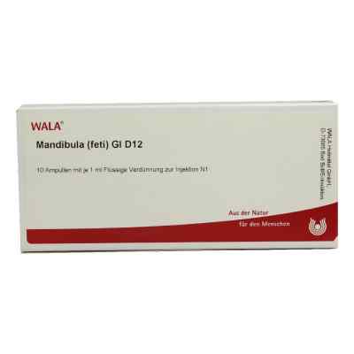 Mandibula Feti Gl D12 Ampullen 10X1 ml von WALA Heilmittel GmbH PZN 02934267