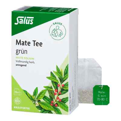 Mate Tee grün Kräutertee Mate folium bio Salus