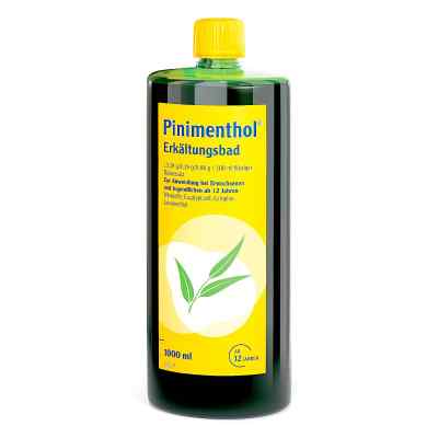 Pinimenthol Erkältungsbad ab 12 Jahre 1000 ml von Dr.Willmar Schwabe GmbH & Co.KG PZN 13515272