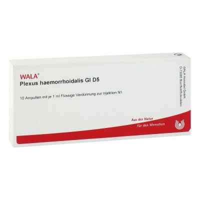 Plexus Haemorrhoidalis Gl D5 Ampullen