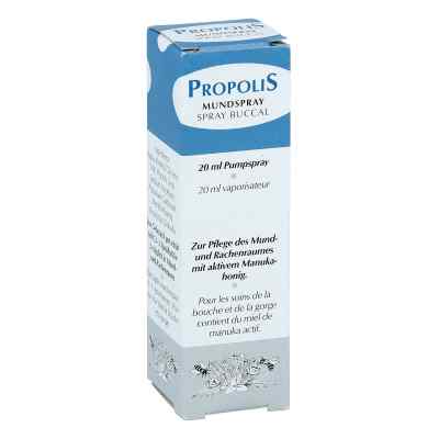 Propolis Pumpspray 20 ml von Health Care Products Vertriebs GmbH PZN 00632846
