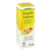 Propolis Tinktur Bdih 30 ml von Bergland GmbH PZN 06648104