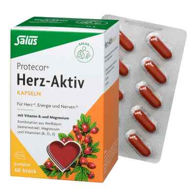 Protecor Herz-aktiv Kapseln 60 stk von SALUS Pharma GmbH PZN 01249078