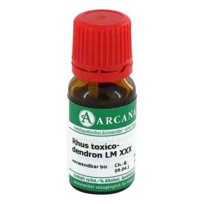 Rhus Toxicodendron Lm 30 Dilution 10 ml von ARCANA Dr. Sewerin GmbH & Co.KG PZN 03505580