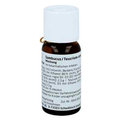 Sambucus / Teucrium compositus Dilution 50 ml von WELEDA AG PZN 02904533