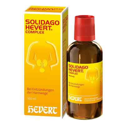 Solidago Hevert Complex Tropfen
