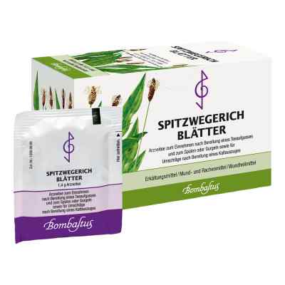 SPITZWEGERICHBLÄTTER BOMBASTUS
