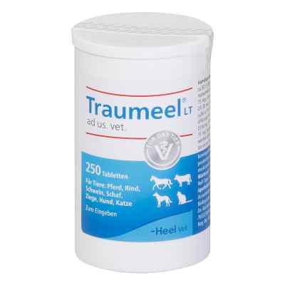 Traumeel LT ad us. vet. Tabletten